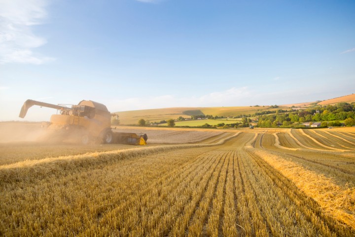 Produção agrícola e animal